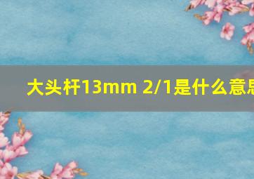 大头杆13mm 2/1是什么意思